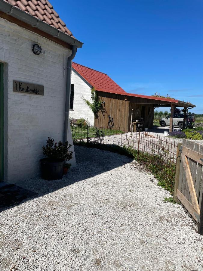 Bed and Breakfast De Wabisabiboerderij Oedelem Экстерьер фото